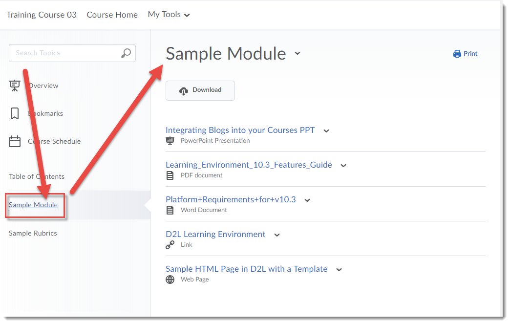 Open the Module you want to print from