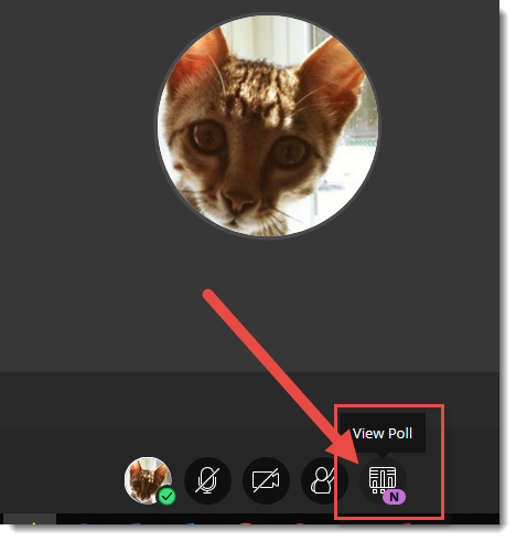 View Poll icon