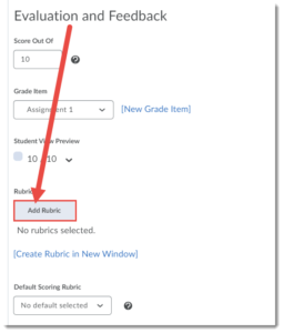 Grading Assignments Using Rubrics in D2L – Centre for Excellence in
